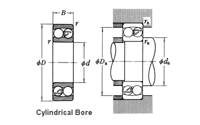 Ceramic Self-Aligning Ball Bearings